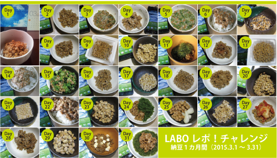 LABOレポ_15_納豆チャレンジ